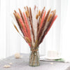 Small Reed Dry Flower Bouquet