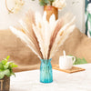 Small Reed Dry Flower Bouquet