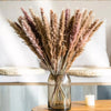 Small Reed Dry Flower Bouquet